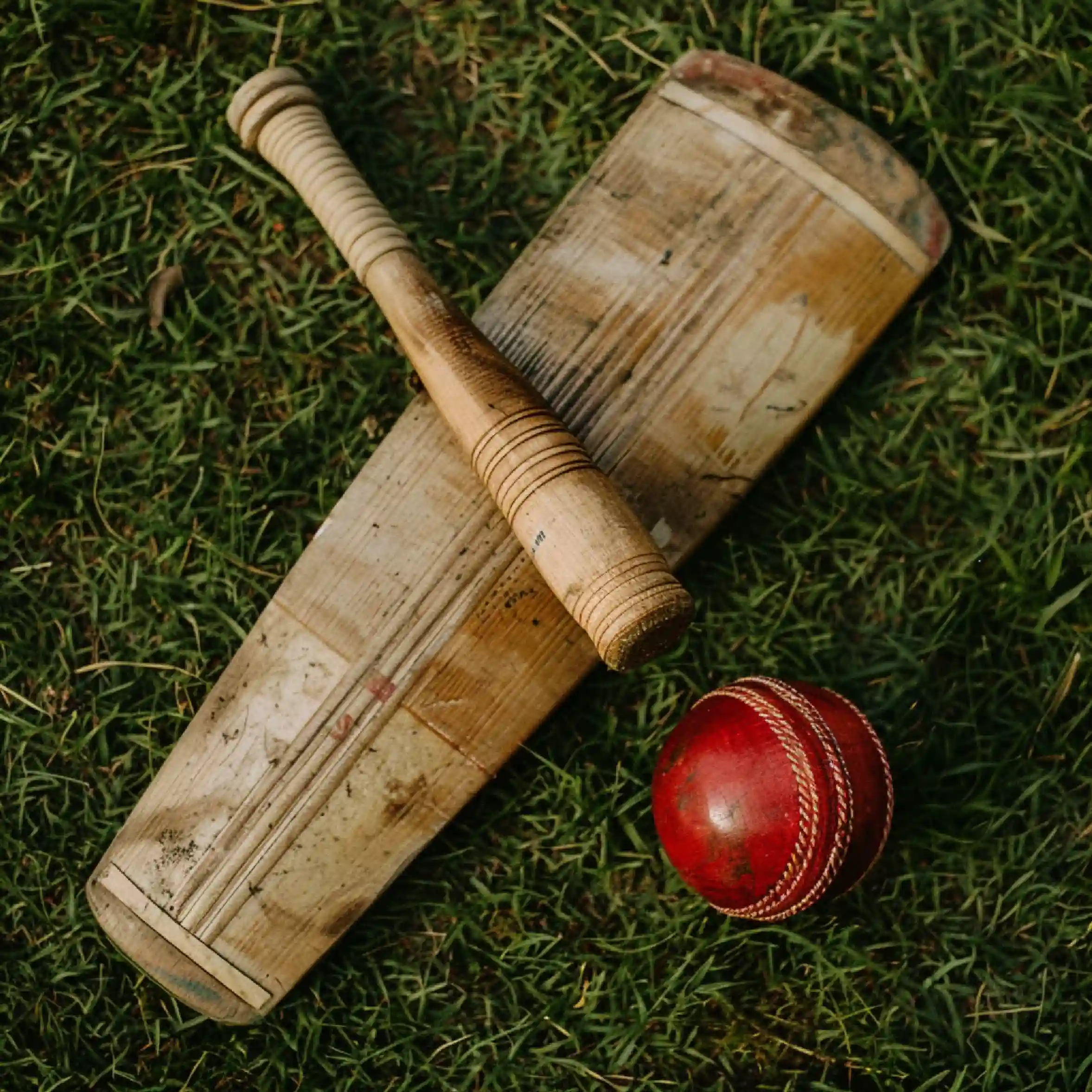 Fantasy cricket interface